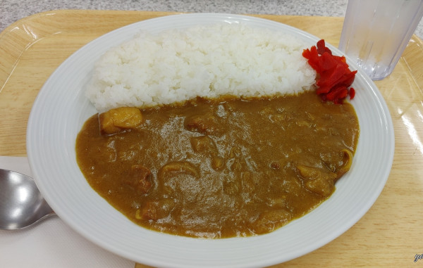 「ポークカレー（辛口）」@小黒川パーキングエリア 下り フードコートの写真