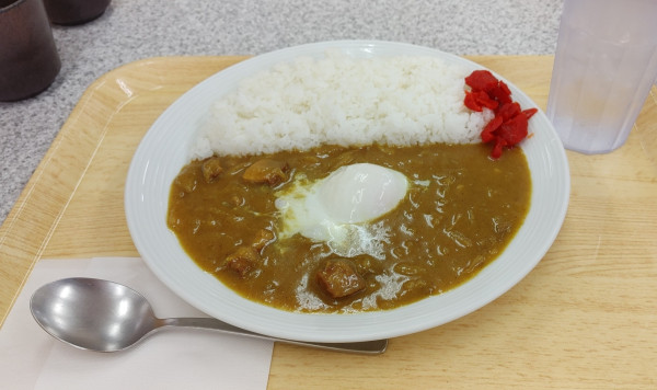 「温泉玉子カレー（辛口）」@小黒川パーキングエリア 下り フードコートの写真