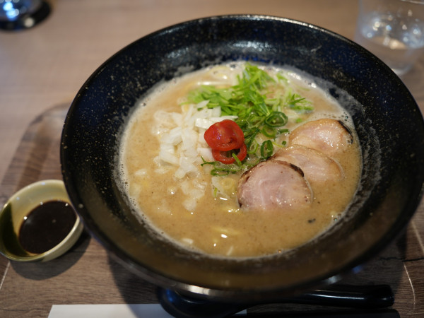 「煮干し鶏白湯 醤油」@麺や うえ村の写真
