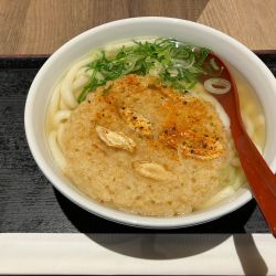ごぼう天うどん 670円