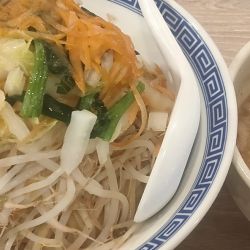 野菜たっぷり塩盛りそば