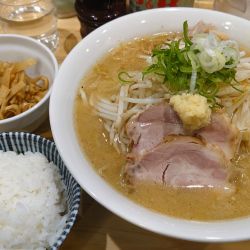 みそらーめん　メンマ　らいす