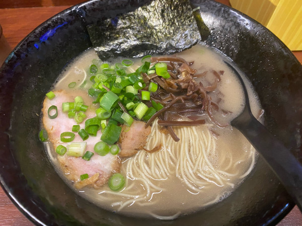 「豚骨ラーメン」@ラーメン 木村亭の写真