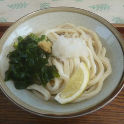 ぶっかけうどん（並）