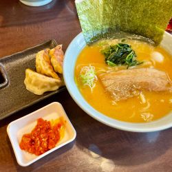 ラーメン味噌(500円)/ライス(150円)/半餃子(無料)