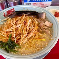 塩 辛ネギラーメン 大盛  TP 辛ネギダブル  コロチャー