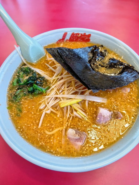 「特製味噌ネギラーメン」@ラーメン山岡家 石岡店の写真