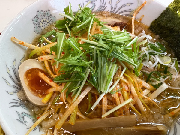 「ネギガキ大将ラーメン」@ラーメンガキ大将 谷田部店の写真