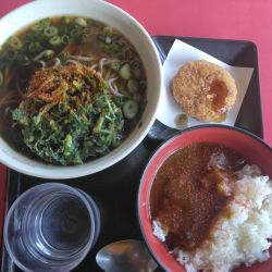 ランチパクチー天そば500円半カレー(JAFでメンチカツ無料