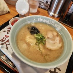 博多ラーメン健太(無限替玉付き)(1,310円)