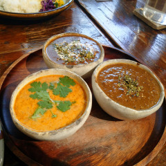 スペキエの画像