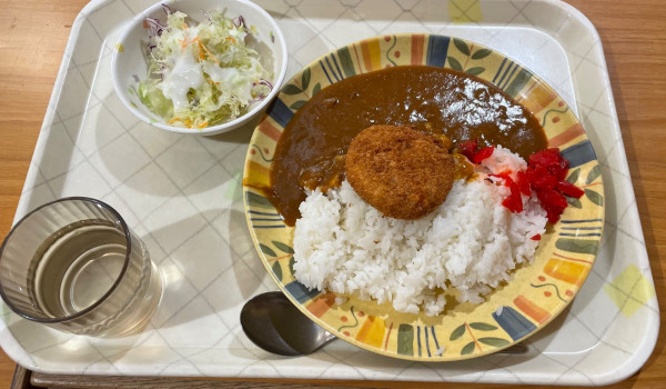 「日替カレー」@シルヴァーの写真