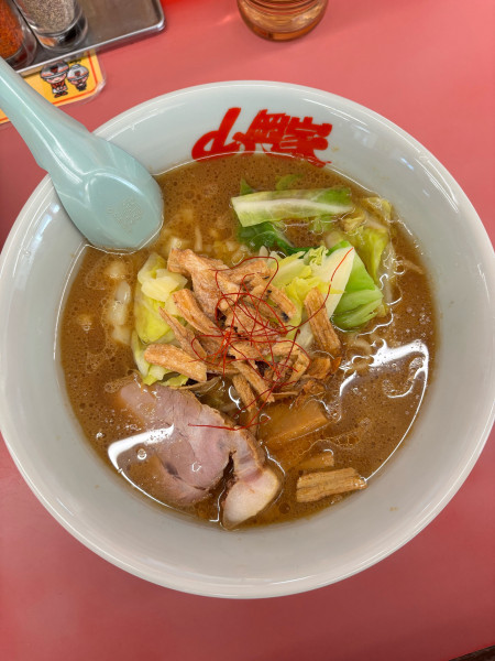 「とんこつカレー」@ラーメン山岡家 八千代店の写真