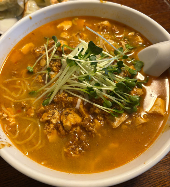 「麻婆麺」@林華苑の写真