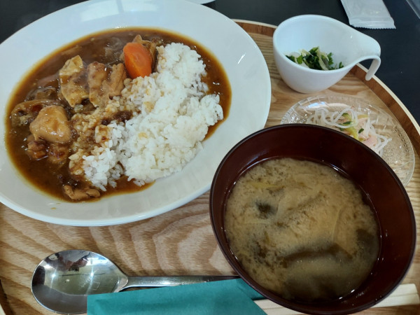 「ランチ和風カレーライス定食（ドリンク付き）1000円」@PinoLandの写真