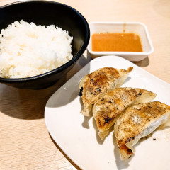 鶏白湯らーめん 叶の写真