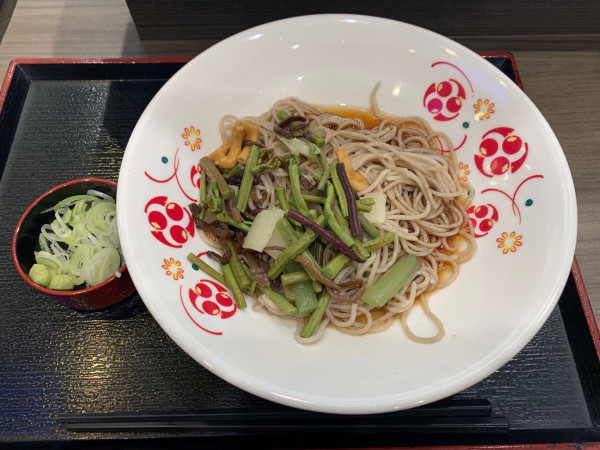 「冷し山菜そば」@いろり庵きらく ペリエ津田沼店の写真