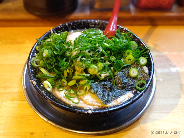 「純とんこつチャーシューメン（半熟玉子入）・ねぎ超多め」@無鉄砲 がむしゃらの写真