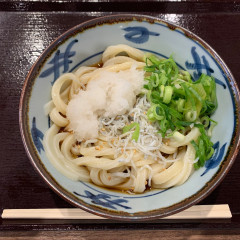 宮武讃岐うどん イオンモール幕張新都心店の画像