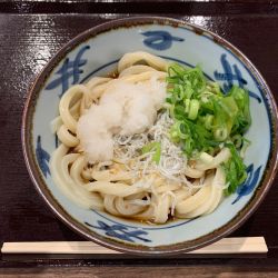 釜揚げしらす おろしぶっかけ（冷）