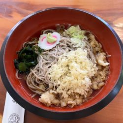 冷やしたぬきそば