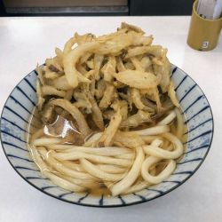 ごぼうかき揚げうどん・温かけ