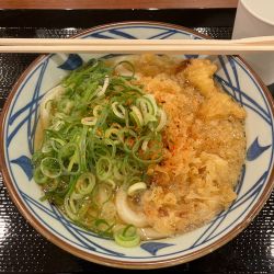 かけうどん 420円