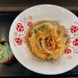 冷しかき揚げそば