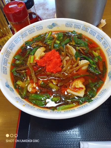 「満州にらラーメン」@さかえや本店の写真