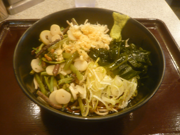 「冷やし山菜そば（温玉抜き）」@そば処 かめや 新橋店の写真