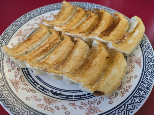 「焼き餃子2人前(560円)」@餃子専門店 正嗣 鶴田店の写真