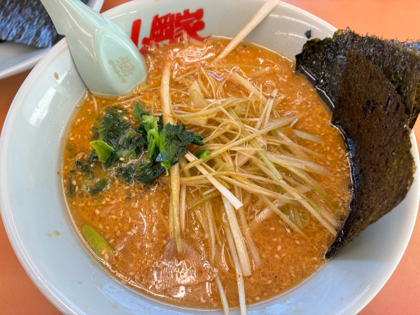 「特製味噌ネギラーメン」@ラーメン山岡家 相模原店の写真