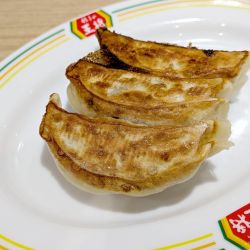 餃子（ジャストサイズ）