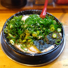 無鉄砲 がむしゃらの画像