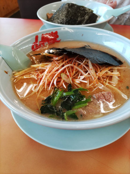 「味噌ピリ辛ネギラーメン（840円）」@ラーメン山岡家 佐野店の写真