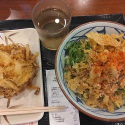 冷かけうどん並420円、野菜かき揚げ190円