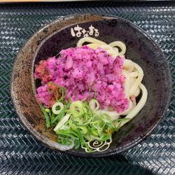 柴漬鬼おろしぶっかけ