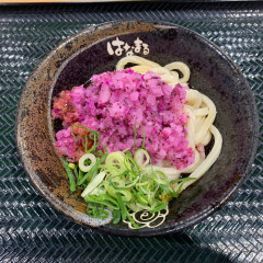 はなまるうどん イオン幕張店の画像