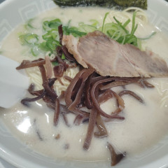 博多天神 お茶の水店の画像