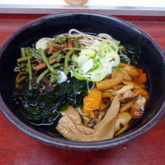 新田毎 秋葉原の画像