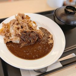 オリジナルカレギュウ