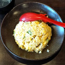 ミニチャーハン 500円