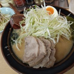 定番(味噌)＋ネギ＋ネギ丼