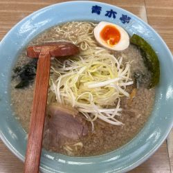 ネギラーメン小　850円