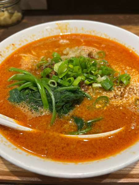 「汁あり担々麺」@六坊担担面の写真