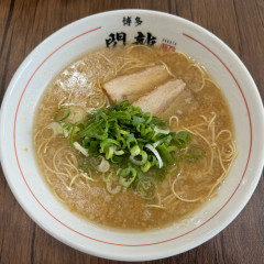 博多 閃龍の画像