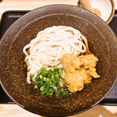 山下本気うどん 神楽坂店の画像