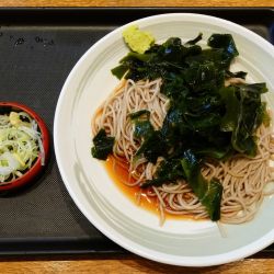 わかめそば（510円）