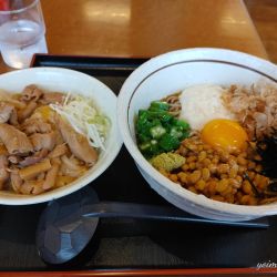 山田うどん食堂 東平店の写真