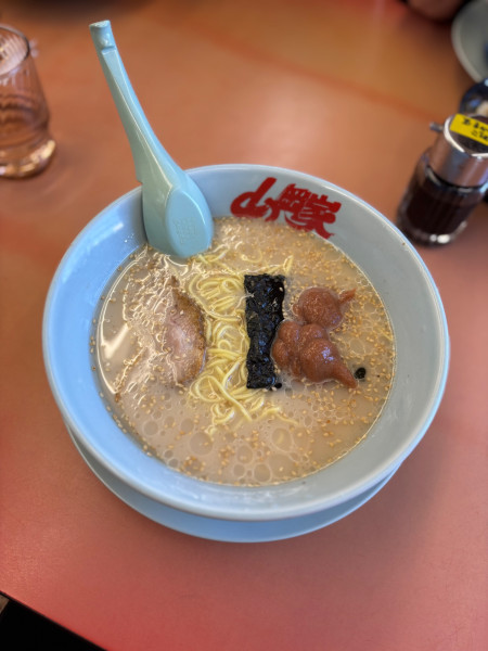 「朝ラーメン」@ラーメン山岡家 豊橋下地店の写真
